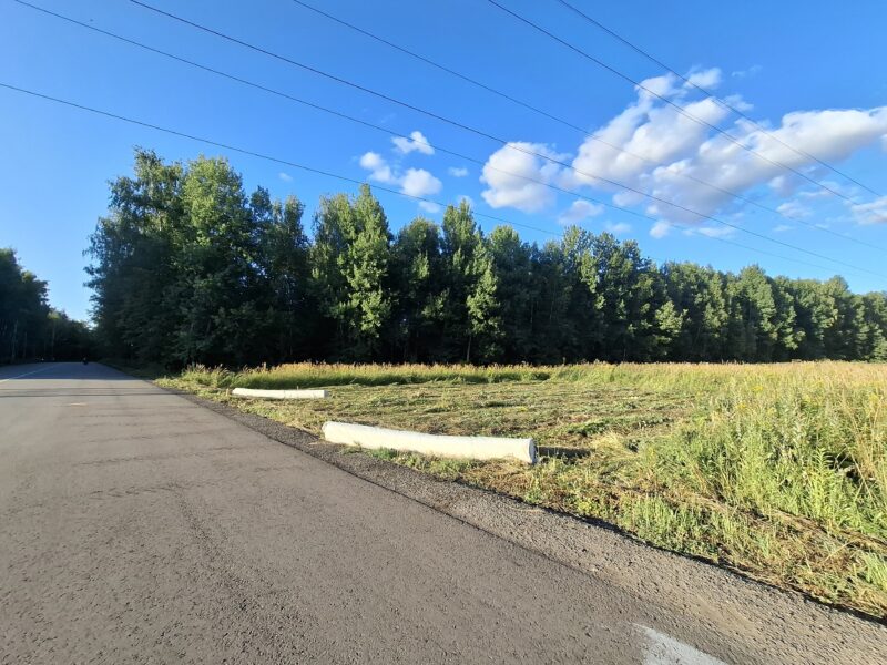 Дорожки в парке Лосиный остров, состояние на 10 августа 2026 по отзыву, фото 10. 